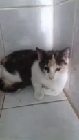 Mia