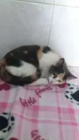 Mia