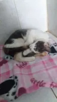 Mia