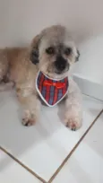 Tod