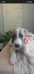 Nina