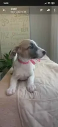 Nina