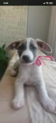 Nina