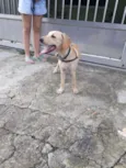 Nick