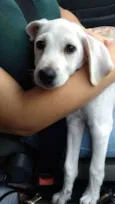 Nick