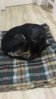 Mel