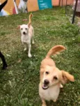 Molly e Polly
