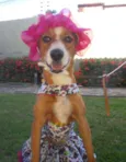 SEM NOME 