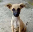 Neguinha
