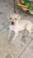 Não tem ainda