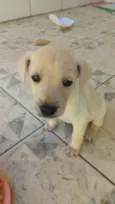 Não tem ainda