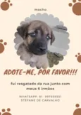 Sem nome
