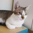 Elizabeth