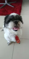 Tom