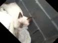 Não tem nome