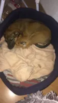 Lua
