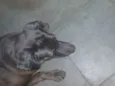 Charles