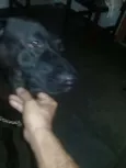Charles