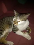 Não sei