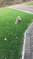 Jack