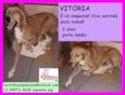 Vitória