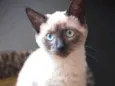 Floyd