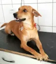 Kiara 