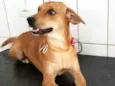 Kiara 