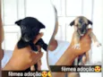 Docinho e lindinha