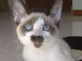 Sam