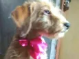Lili 