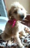 Lili 
