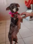 Missy 