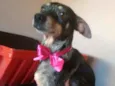 Missy 