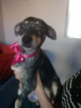 Missy 