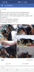 Totó