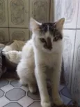 Kiara 