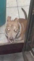 Ben10