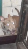 Ben10