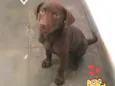 Marley