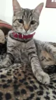 Melinda