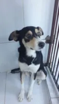 Linda