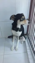 Linda