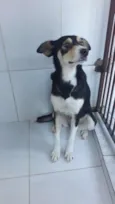 Linda