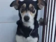 Linda