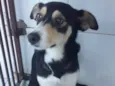 Linda