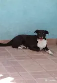 PAOLA