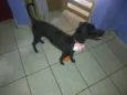 Julie