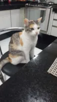 Milly