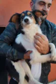 Frida